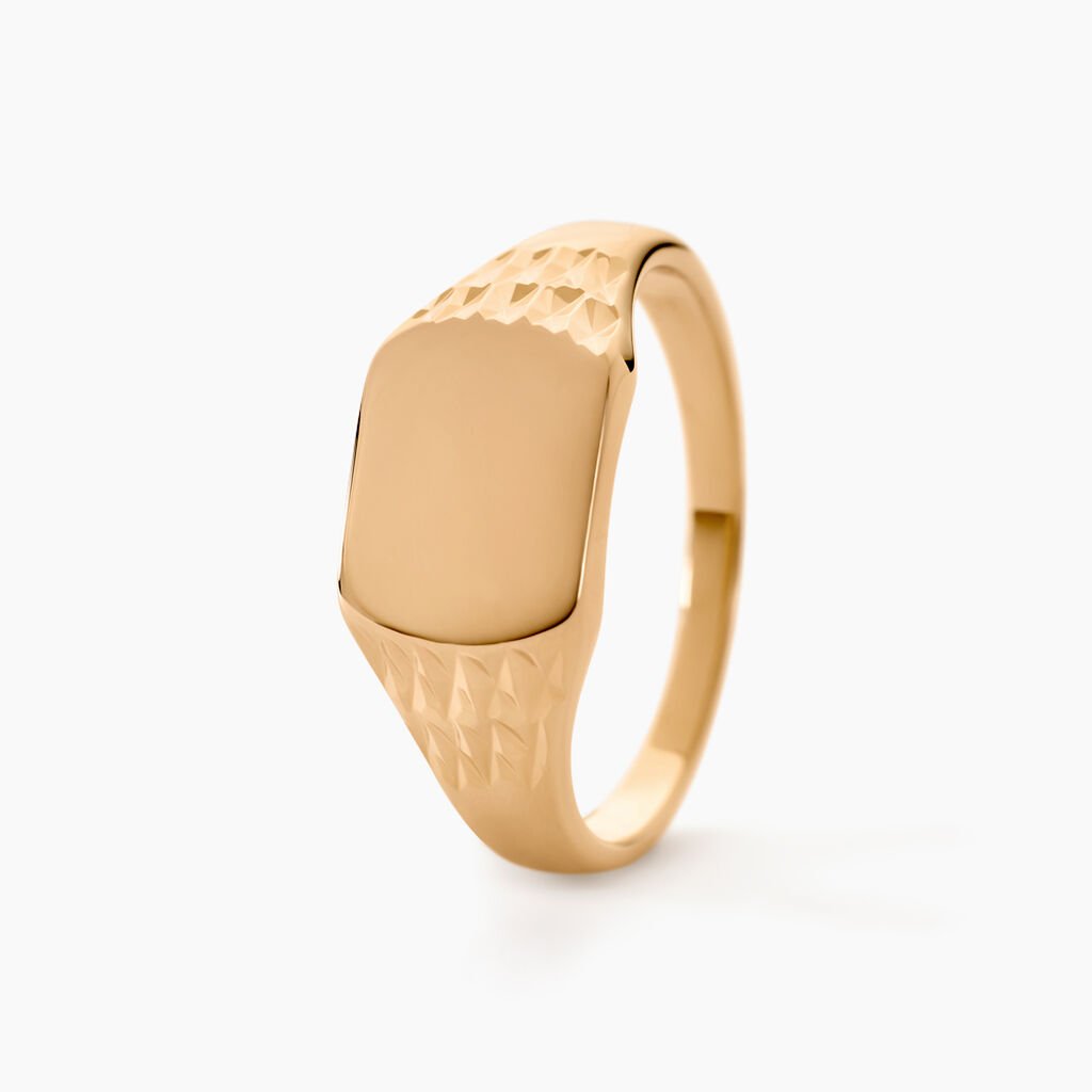 Chevali&egrave;re Leons Plaqu&eacute; Or - Chevali&egrave;res Homme | Histoire d&rsquo;Or