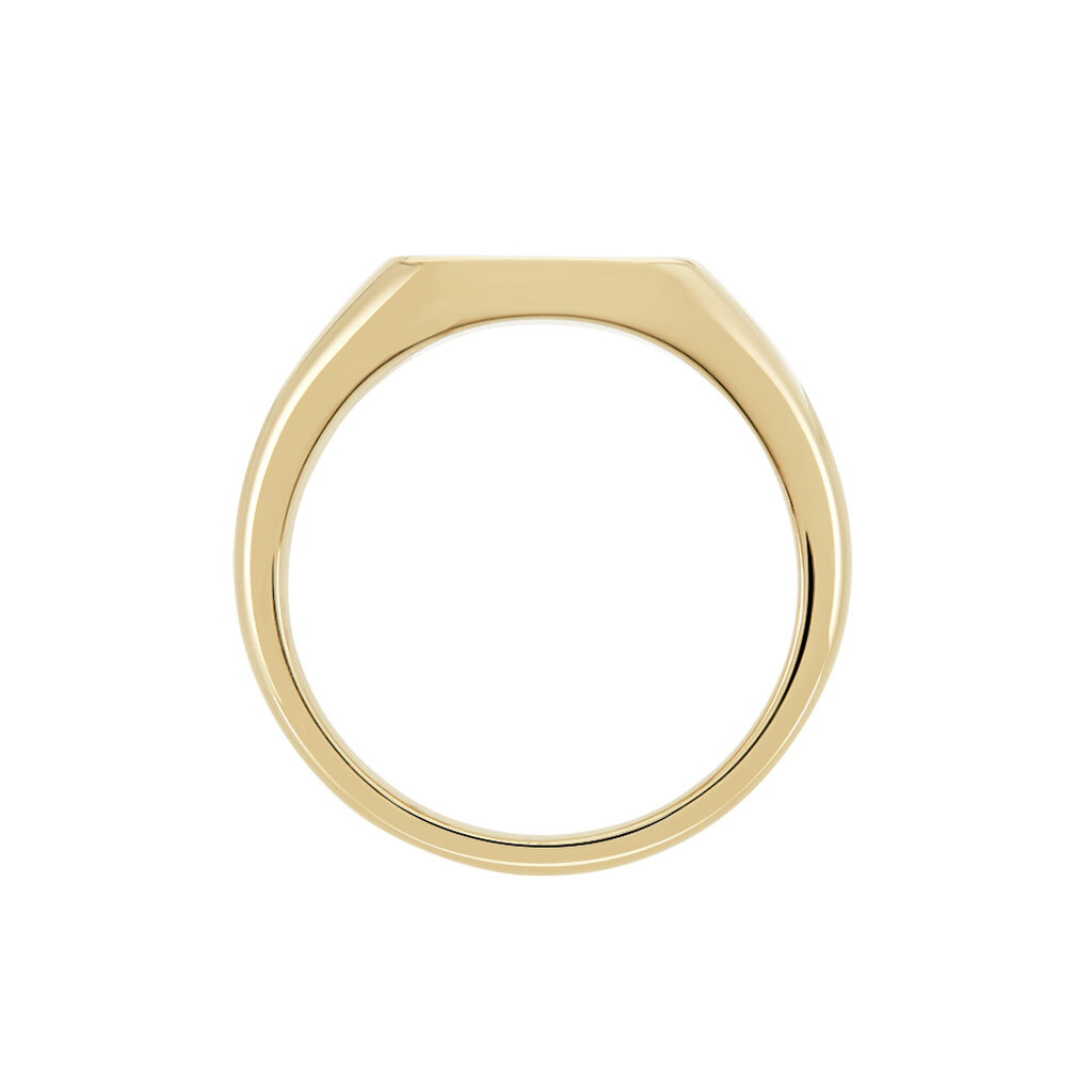 Chevali&egrave;re Plaqu&eacute; Or Jaune Nelson Email Noir - Chevali&egrave;res Homme | Histoire d&rsquo;Or