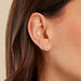 Boucles D'oreilles Puces Cesar Or Jaune - Clous d'oreilles Femme | Histoire d’Or