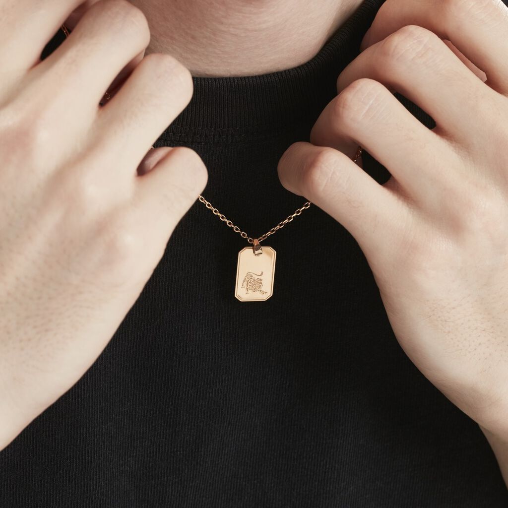 Collier Plaqué Or Quintien - Colliers Zodiaque Homme | Histoire d’Or