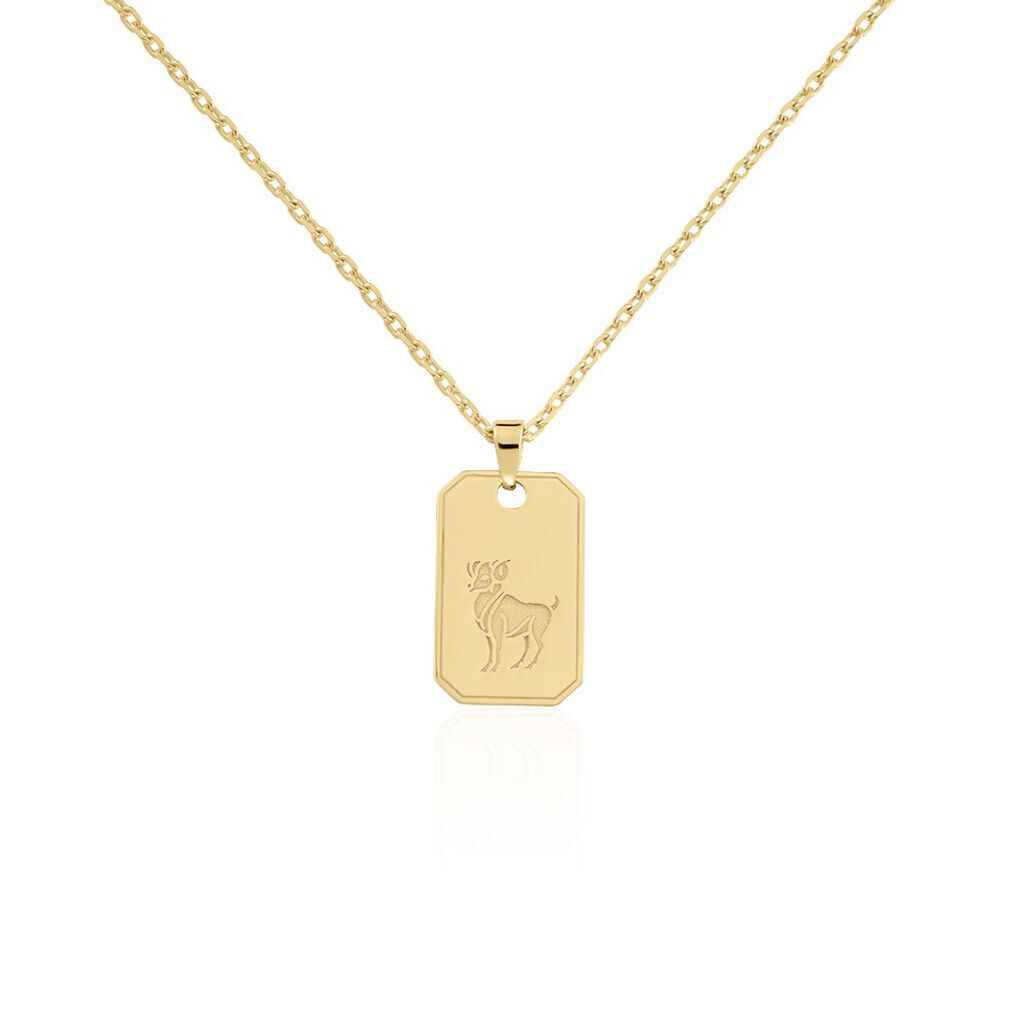 Collier Plaqu&eacute; Or Quintien - Colliers Zodiaque Homme | Histoire d&rsquo;Or