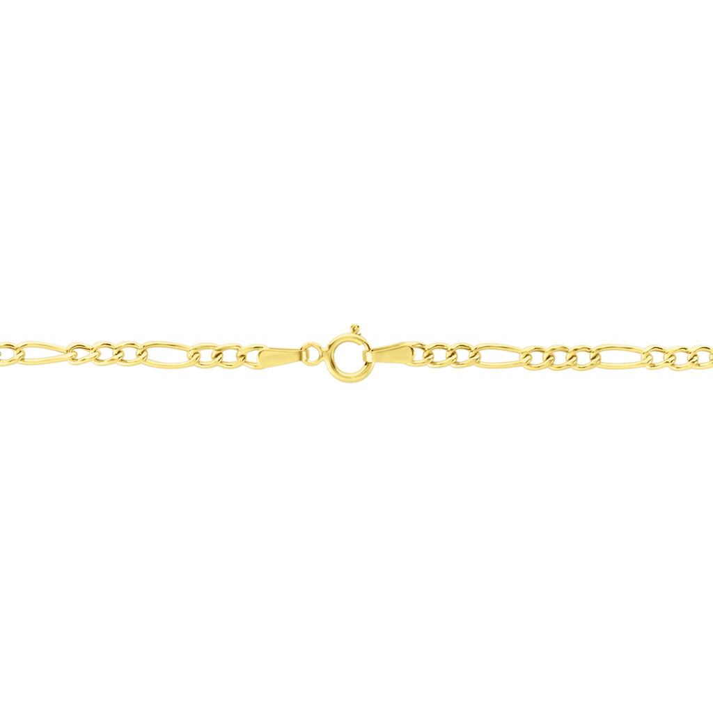 Collier Cameo Maille Alternée 1/3 Or Jaune - Chaines Femme | Histoire d’Or