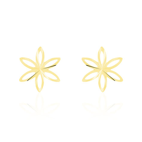 Boucles D'oreilles Puces Fadia Fleur Or Jaune - Clous d'oreilles Femme | Histoire d&rsquo;Or