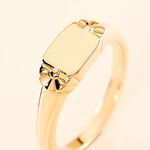 Chevali&egrave;re Darian Plaqu&eacute; Or Jaune - Chevali&egrave;res Femme | Histoire d&rsquo;Or