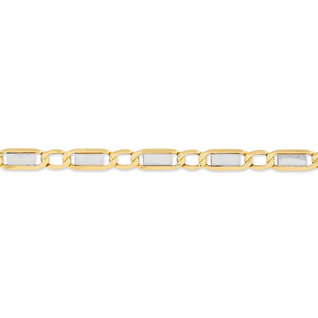 Bracelet Or Bicolore Danae - Bracelets chaîne Homme | Histoire d’Or