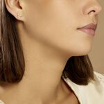 Boucles D'oreilles Puces Fulvie Double Dauphins Or Jaune - Clous d'oreilles Femme | Histoire d&rsquo;Or