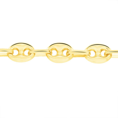 Collier Maille Dami Maille Grain De Cafe Or Jaune - Chaines Homme | Histoire d’Or