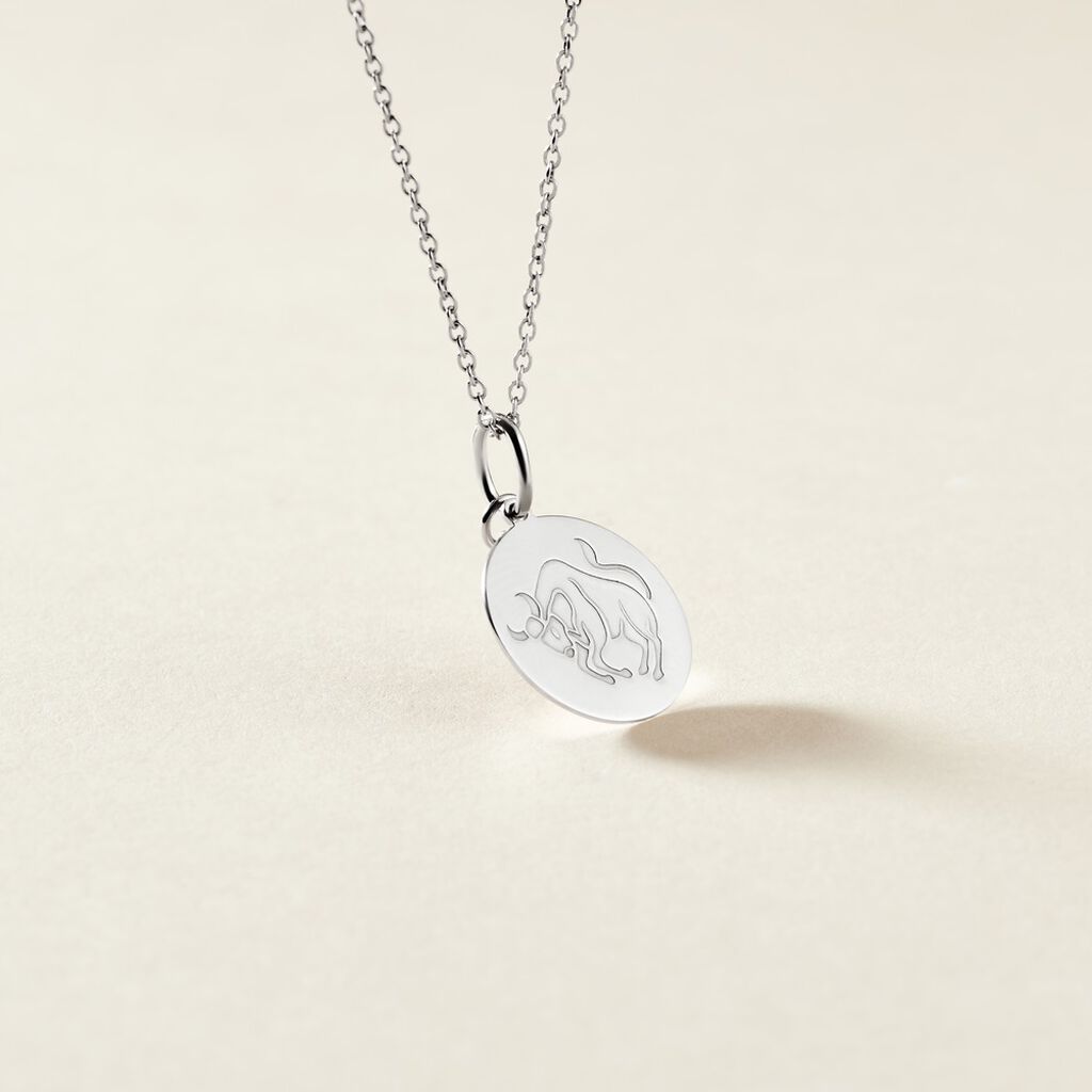 Pendentif Zodiaque Rond Argent Blanc - Pendentifs Zodiaque Famille | Histoire d’Or