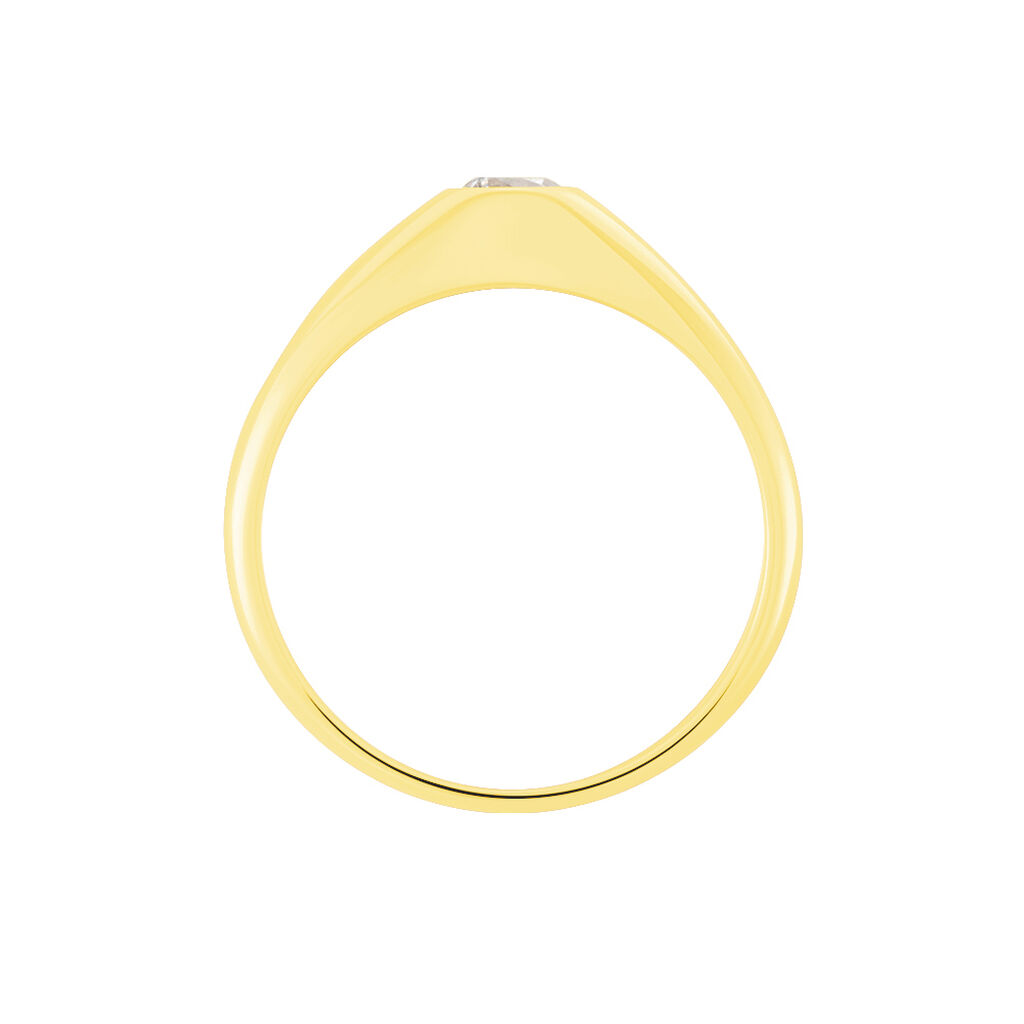 Chevaliere Maxime Or Jaune Oxyde - Bagues solitaires Famille | Histoire d&rsquo;Or