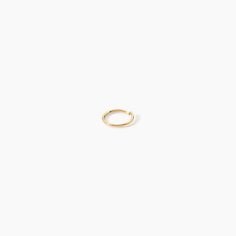 Piercing De Nez Or Jaune Ajania - Piercing Nez Famille | Histoire d&rsquo;Or