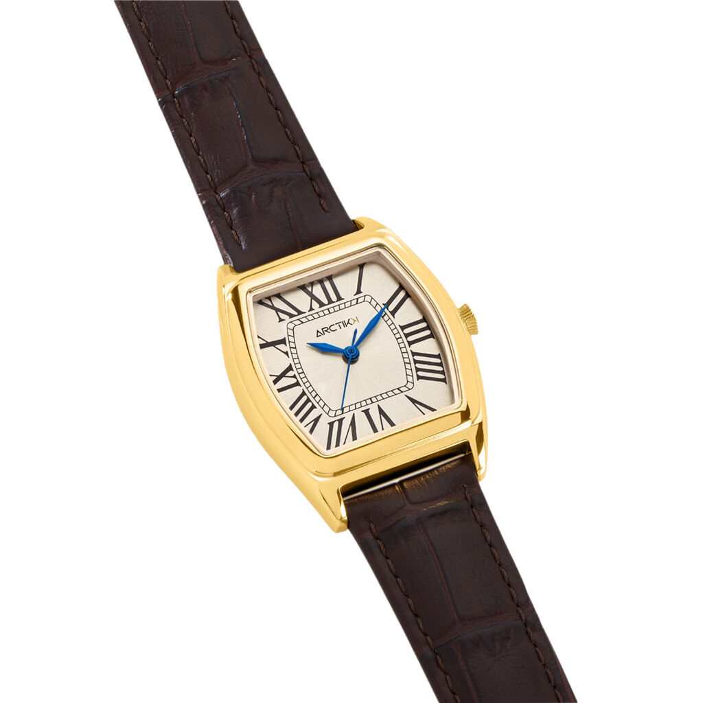 Montre Arctik Globe Argent&eacute; - Montres Homme | Histoire d&rsquo;Or