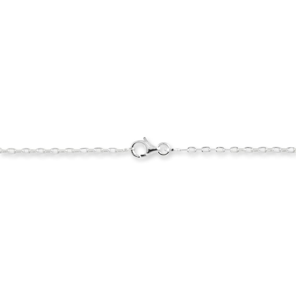 Chaîne Claudine Maille Forçat Argent Blanc - Chaines Unisex | Histoire d’Or