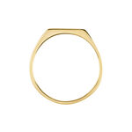 Chevali&egrave;re Plaqu&eacute; Or Jaune Alfonso - Chevali&egrave;res Homme | Histoire d&rsquo;Or