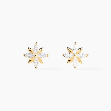 Boucles D'oreilles Puces Geza Or Jaune Oxyde De Zirconium - Clous d'oreilles Femme | Histoire d’Or