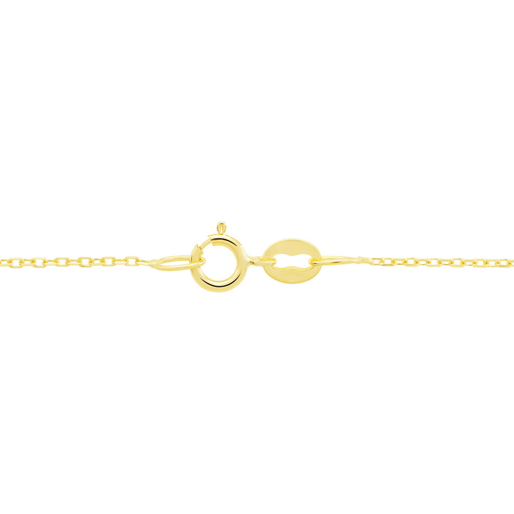 Chaîne Or Jaune Igoa - Chaines Femme | Histoire d’Or