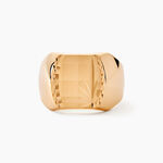 Chevali&egrave;re Leoncette Plaqu&eacute; Or Jaune - Chevali&egrave;res Homme | Histoire d&rsquo;Or