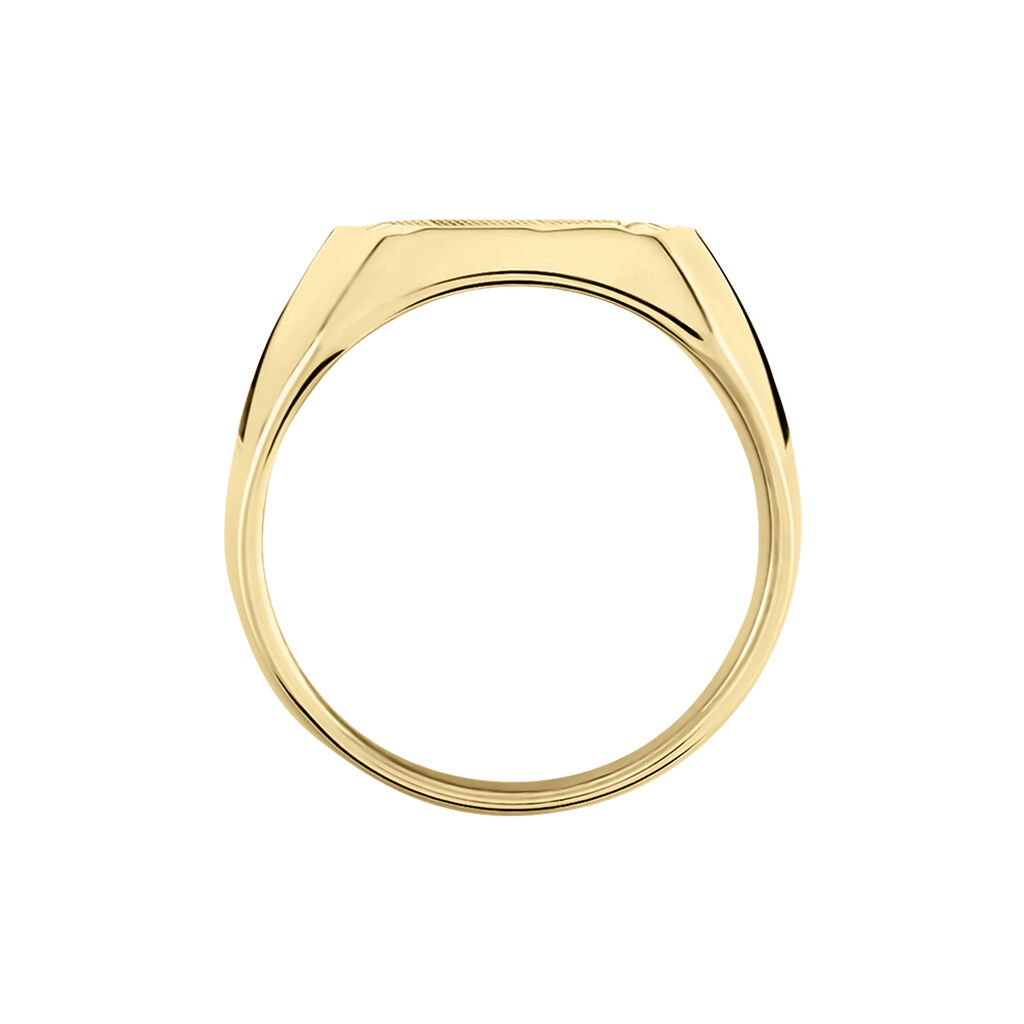 Chevali&egrave;re Leoncette Plaqu&eacute; Or Jaune - Chevali&egrave;res Homme | Histoire d&rsquo;Or