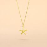 Collier Or Jaune Aenor Motif Etoile De Mer - Colliers Femme | Histoire d&rsquo;Or