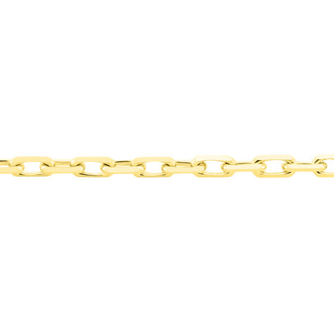 Chaîne Igoa Maille Forçat Diamantee Or Jaune - Chaines Famille | Histoire d’Or