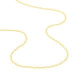 Collier Capucin Or Jaune Maille Marine Plate - Chaines Homme | Histoire d&rsquo;Or
