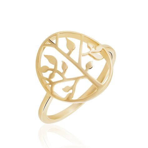 Bague Galvina Plaqué Or Jaune - Bagues fantaisie Femme | Histoire d’Or