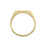 Chevali&egrave;re Plaqu&eacute; Or Jaune Asa Oxydes De Zirconium - Chevali&egrave;res Homme | Histoire d&rsquo;Or