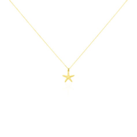 Collier Or Jaune Aenor Motif Etoile De Mer - Colliers Femme | Histoire d&rsquo;Or