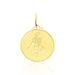 Pendentif Lamie Zodiaque Or Jaune - Pendentifs Zodiaque Unisex | Histoire d’Or