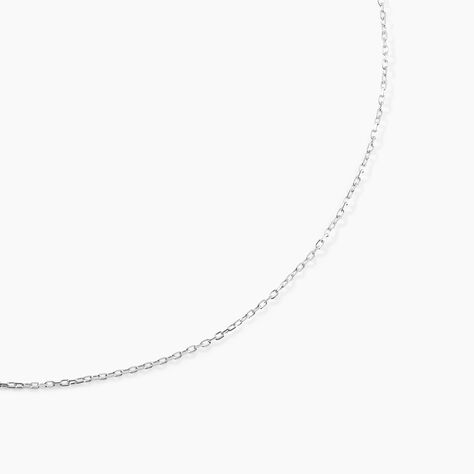 Cha&icirc;ne Ilan Maille For&ccedil;at Ronde Or Blanc - Chaines Famille | Histoire d&rsquo;Or