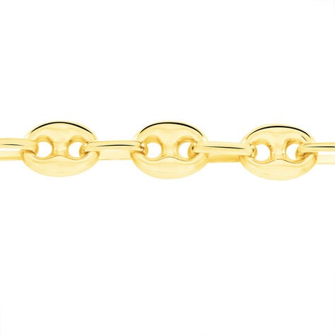 Collier Dami Maille Grain De Cafe Or Jaune - Chaines Homme | Histoire d’Or
