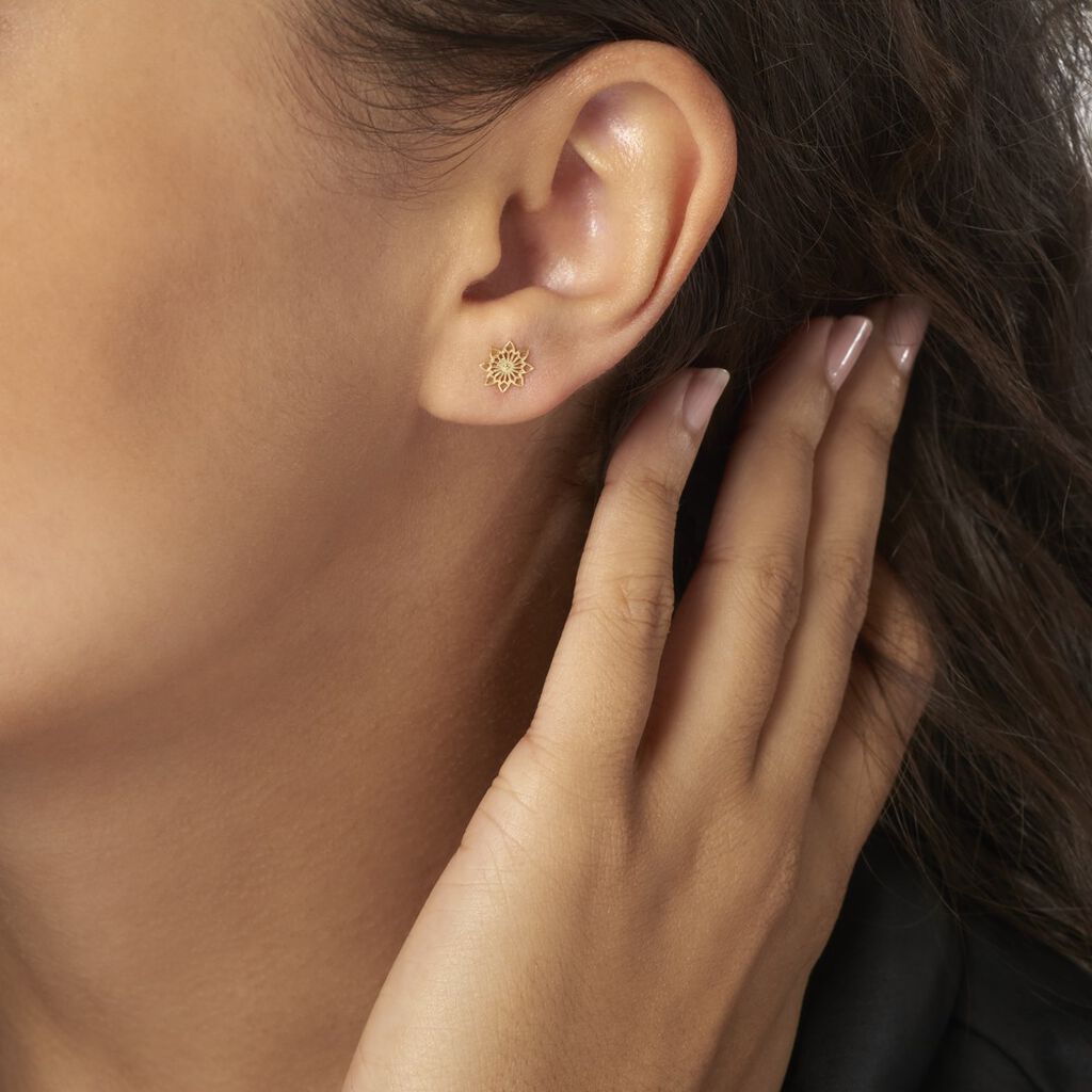 Boucles D'oreilles Puces Albiorica Or Jaune - Clous d'oreilles Femme | Histoire d’Or