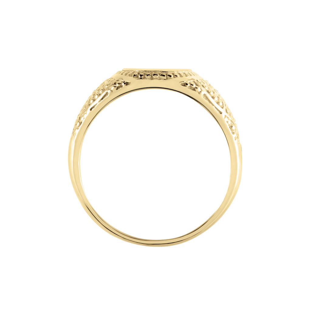 Chevali&egrave;re Plaqu&eacute; Or Jaune Azarel Email Noir - Chevali&egrave;res Homme | Histoire d&rsquo;Or