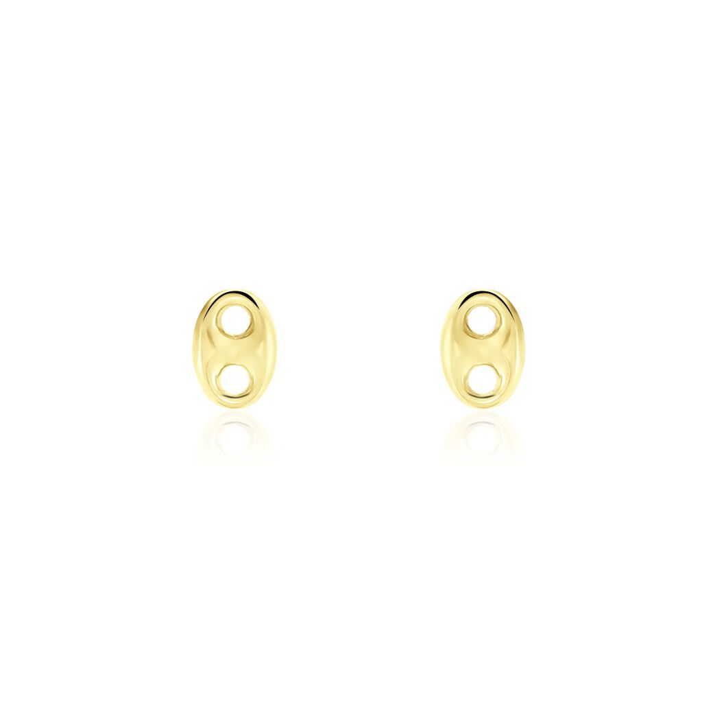 Boucles D'oreilles Puces Cara Or Jaune - Clous d'oreilles Famille | Histoire d’Or