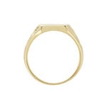 Chevali&egrave;re Leons Plaqu&eacute; Or - Chevali&egrave;res Homme | Histoire d&rsquo;Or