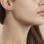 Boucles D'oreilles Puces Cara Or Jaune - Clous d'oreilles Famille | Histoire d&rsquo;Or