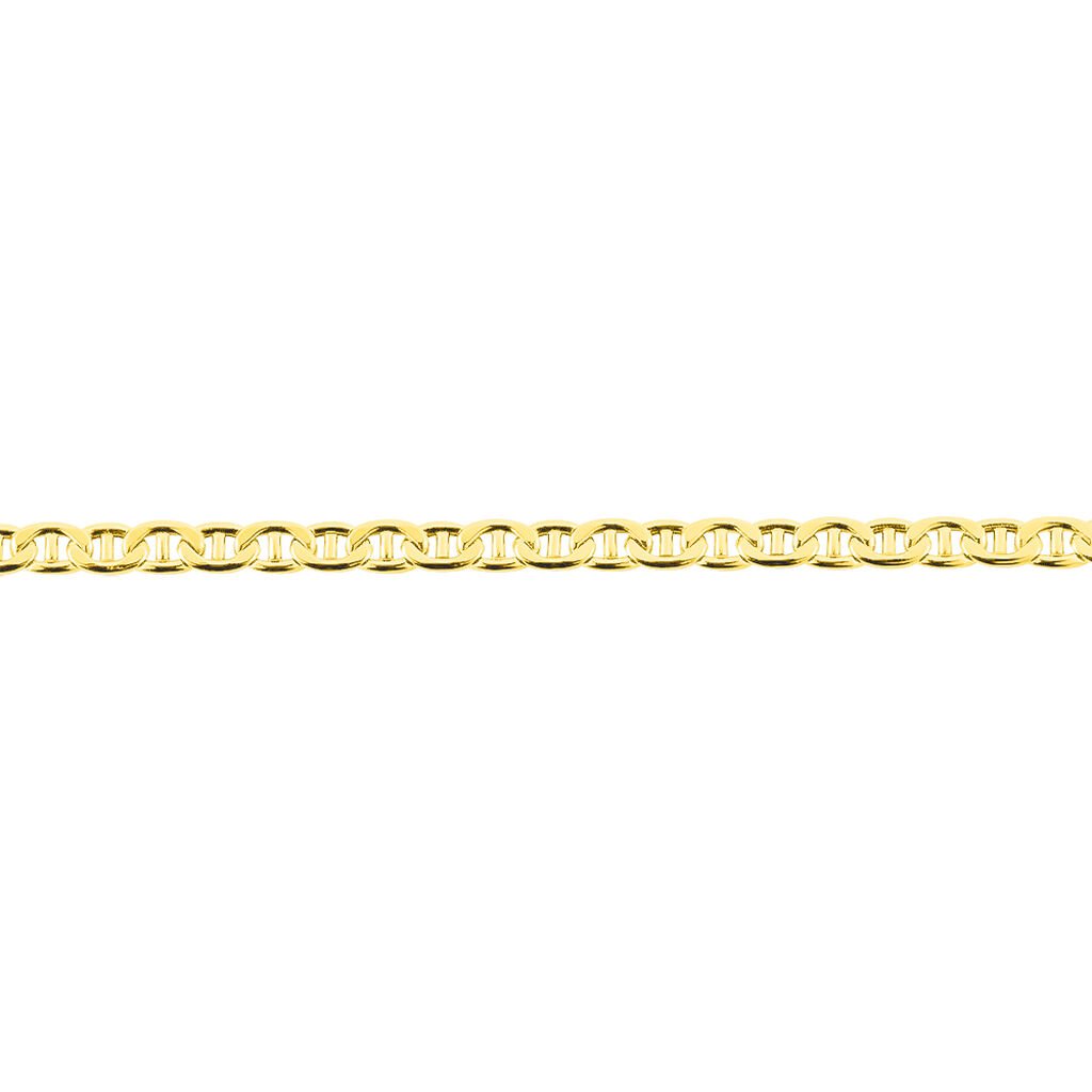 Bracelet Capucin Maille Marine Plate Or Jaune - Bracelets chaîne Homme | Histoire d’Or