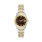 Montre Fossil Scarlette Mini Marron - Montres Femme | Histoire d&rsquo;Or