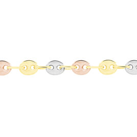 Collier Richard Maille Grain De Café Or Tricolore - Chaines Femme | Histoire d’Or