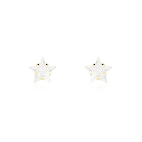 Boucles D'oreilles Puces Elais Etoile Or Jaune Oxyde De Zirconium - Clous d'oreilles Femme | Histoire d&rsquo;Or