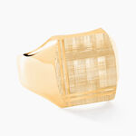 Chevali&egrave;re Jackson Or Jaune - Chevali&egrave;res Famille | Histoire d&rsquo;Or