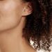 Boucles D'oreilles Puces Eddie Or Jaune Oxyde De Zirconium - Clous d'oreilles Femme | Histoire d’Or