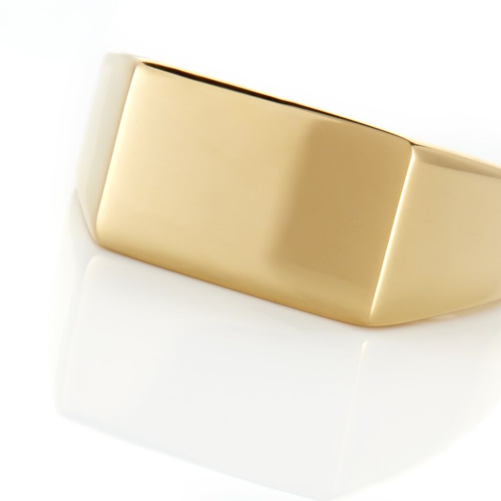 Chevali&egrave;re Acier Dor&eacute; Luciano - Chevali&egrave;res Homme | Histoire d&rsquo;Or