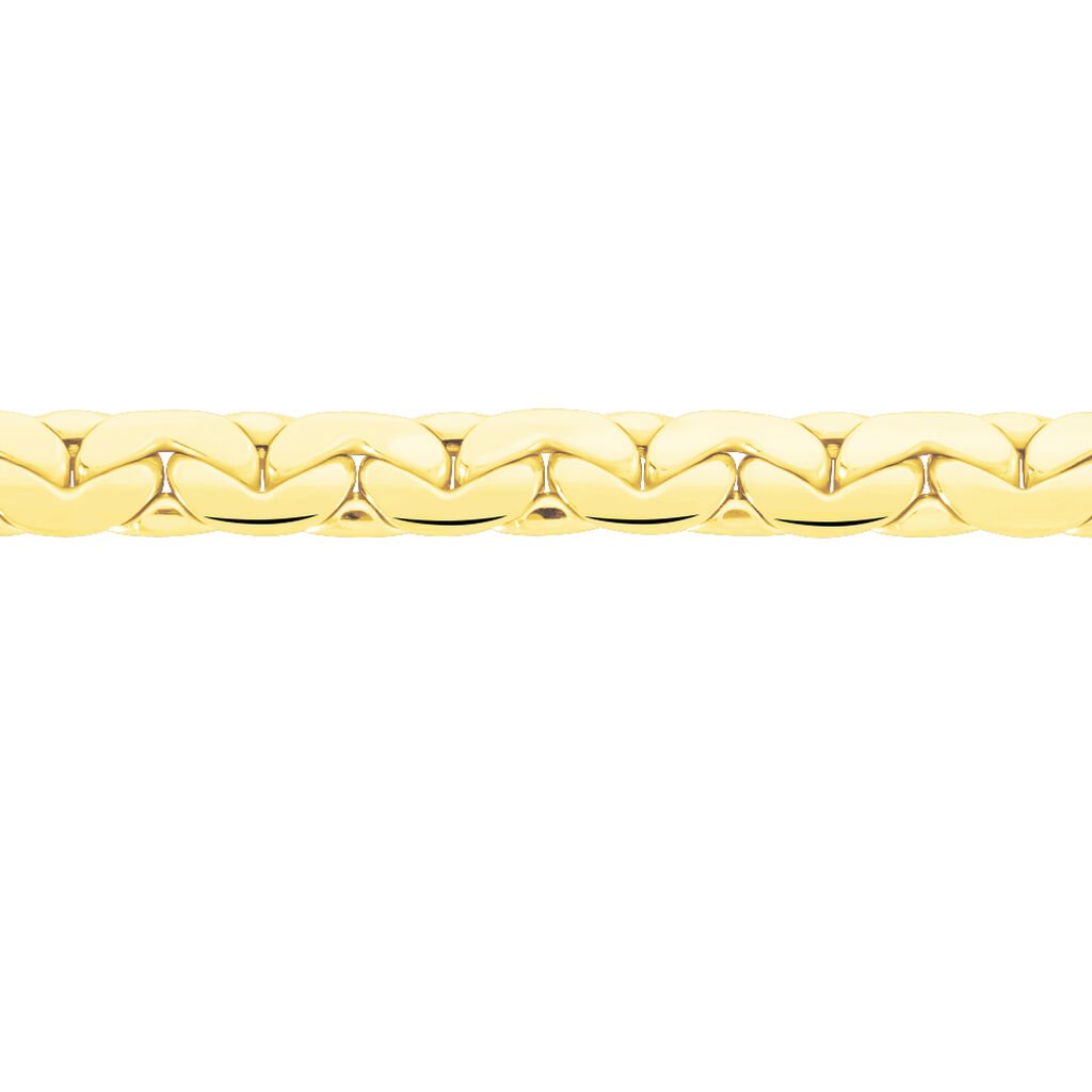 Collier Ivy Maille Haricot Or Jaune - Chaines Femme | Histoire d’Or