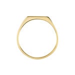 Chevali&egrave;re Plaqu&eacute; Or Jaune Alfonso - Chevali&egrave;res Homme | Histoire d&rsquo;Or