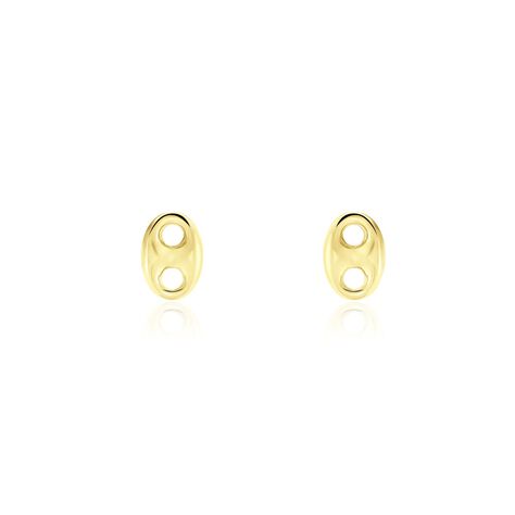 Boucles D'oreilles Puces Cara Or Jaune - Clous d'oreilles Famille | Histoire d’Or