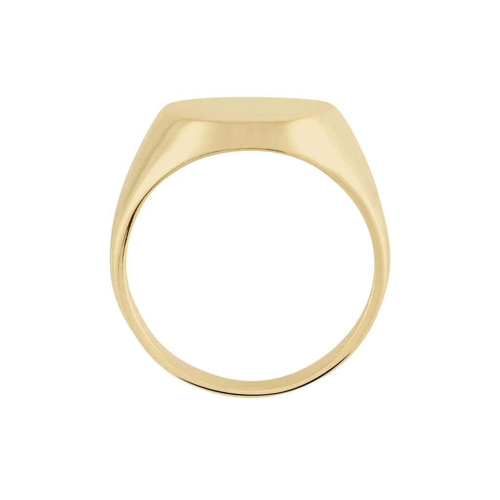 Chevali&egrave;re Plaqu&eacute; Or Jaune Aureliano - Chevali&egrave;res Homme | Histoire d&rsquo;Or