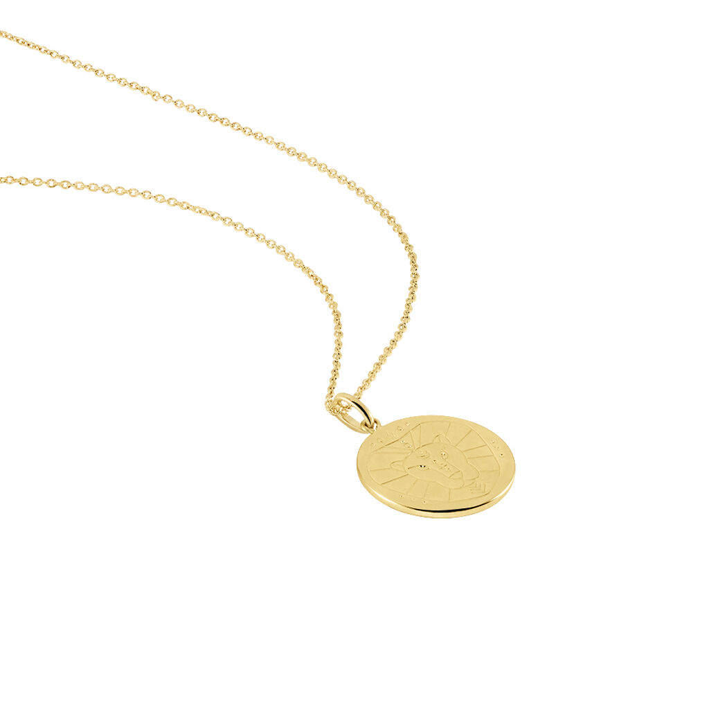 Collier Astro Plaqué Or - Colliers Zodiaque Femme | Histoire d’Or