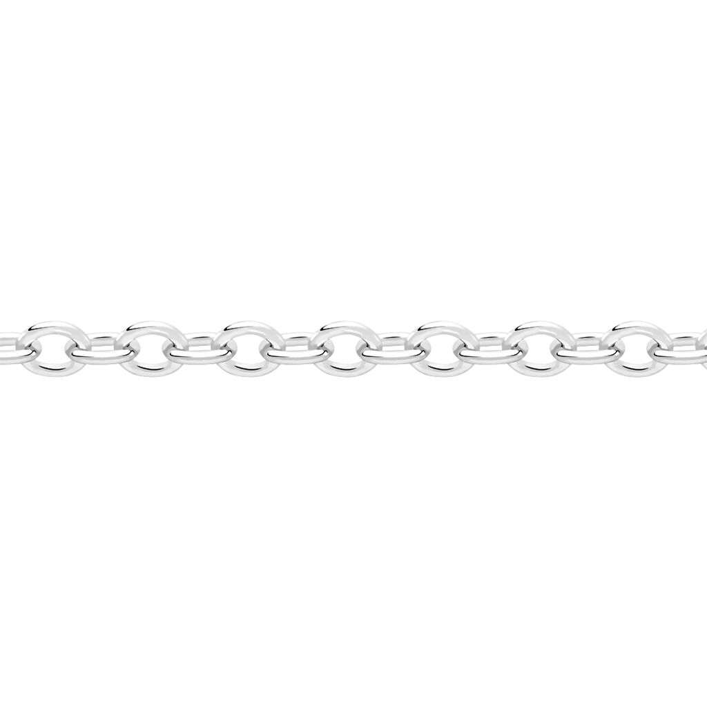 Chaîne Ilan Maille Forçat Ronde Or Blanc - Chaines Unisex | Histoire d’Or