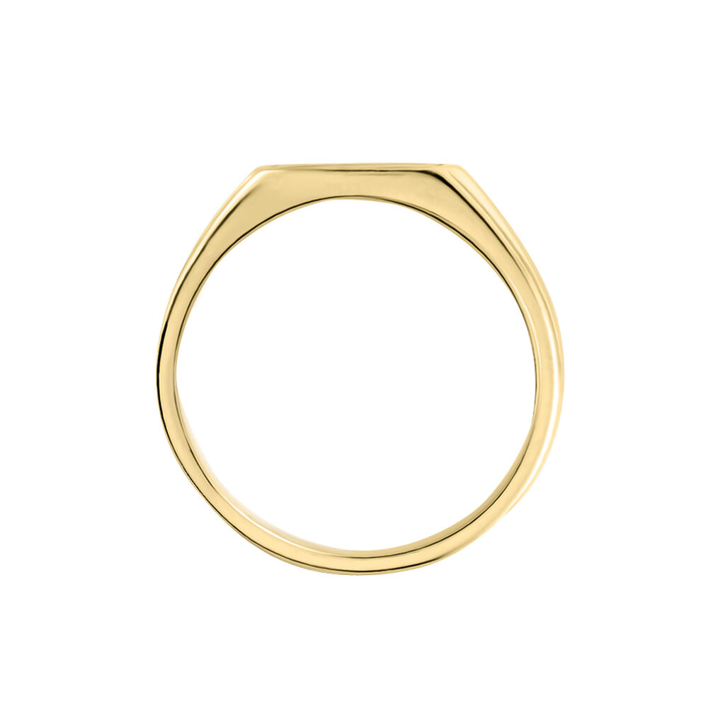 Chevali&egrave;re Plaqu&eacute; Or Jaune Bennie Email Noir - Chevali&egrave;res Homme | Histoire d&rsquo;Or