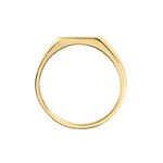 Chevali&egrave;re Plaqu&eacute; Or Jaune Bennie Email Noir - Chevali&egrave;res Homme | Histoire d&rsquo;Or